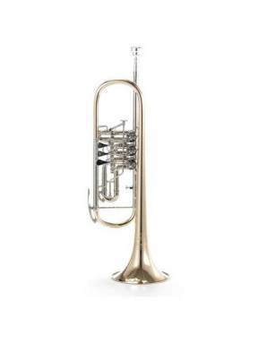 Trompeta de Cilindros B&S BS3005GT-1-0 Lacada