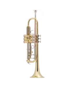 Trompeta Bach TR501 Lacada Sib