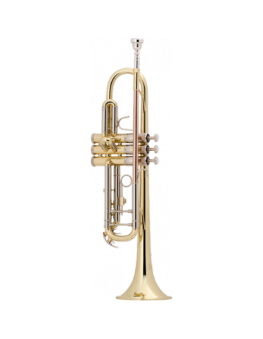 Trompeta Bach TR501 Lacada Sib frontal