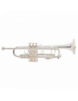 Trompeta Bach LR180ML 43 Standard 25LR Plateada Sib