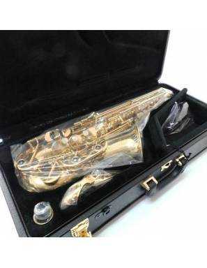 Saxo Alto Wisemann Das 350 2