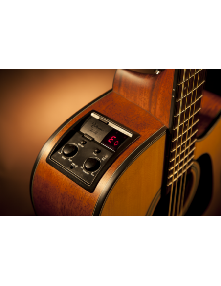 Guitarra Electroacústica Takamine GD10CE-NS