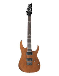 Guitarra Eléctrica Ibanez RG421 MOL