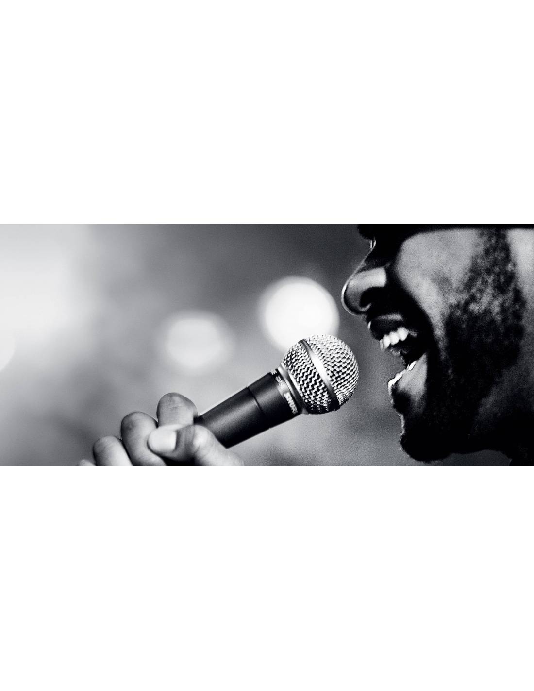 Micrófono Dinámico Shure SM58-LC Micrófono Dinámico Shure SM58-LC