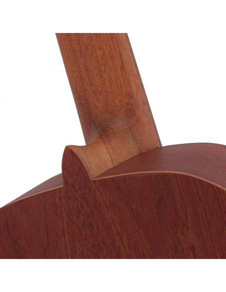 Mástil de la Guitarra Clásica Alhambra College 2 Laqant Estudio posterior