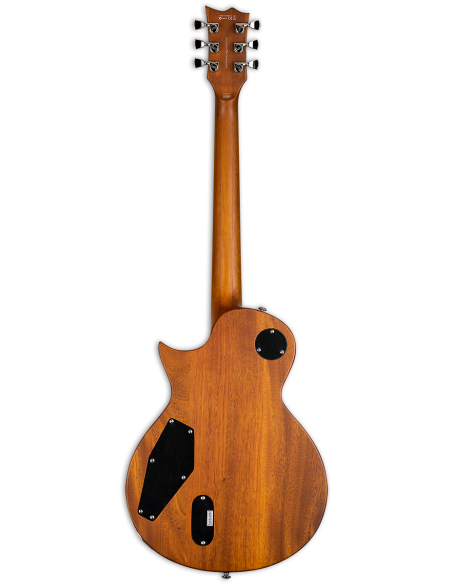 Guitarra Eléctrica LTD EC-1000T Honey Burst Satin posterior