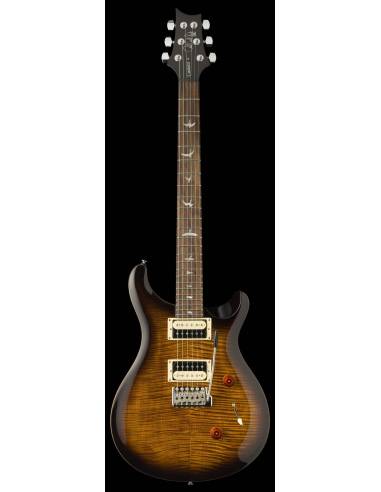 Guitarra Eléctrica PRS SE Custom 24 BGB frontal