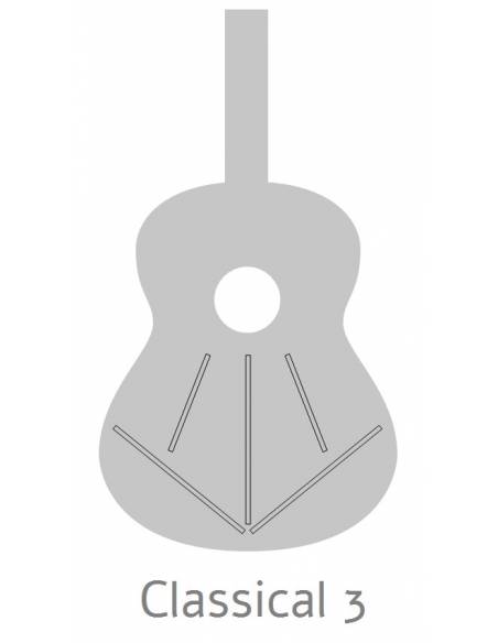 Estructura de la Guitarra Clásica Alhambra 1C Hyrbrid Terra