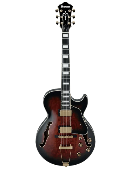 Guitarra Eléctrica Ibanez AG95QA-DBS frontal
