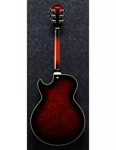 Guitarra Eléctrica Ibanez AG95QA-DBS posterior