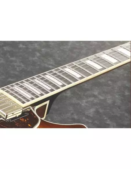 Guitarra Eléctrica Ibanez AG95QA-DBS cuerdas