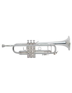 Trompeta Bach 180ML 43 Standard 25 Plateada Sib