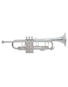 Trompeta Bach 180ML 72 Standard 25 Plateada Sib