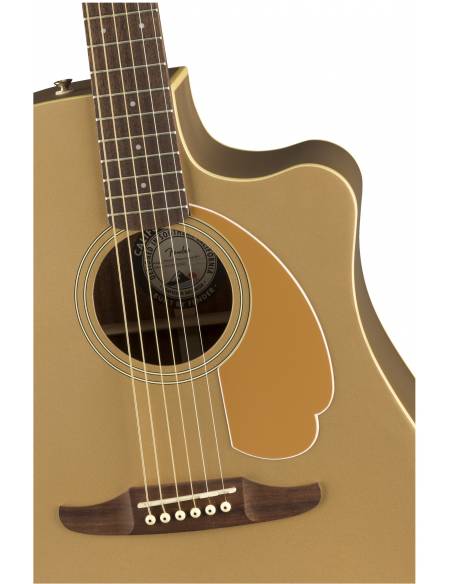 Cuerpo de la Guitarra Electroacústica Fender Redondo Player Wn Bronze Satin detalle