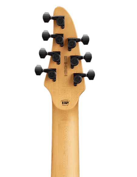 Guitarra Eléctrica Edwards E-HR7-FX BM Aqua Burst clavijero posterior