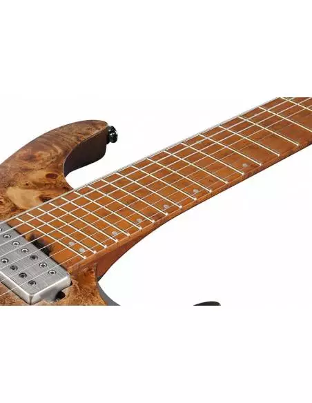 Guitarra Eléctrica Ibanez QX527PB ABS mástil