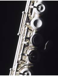 Llaves de la Flauta Travesera Pearl Pf-B665Re Sf