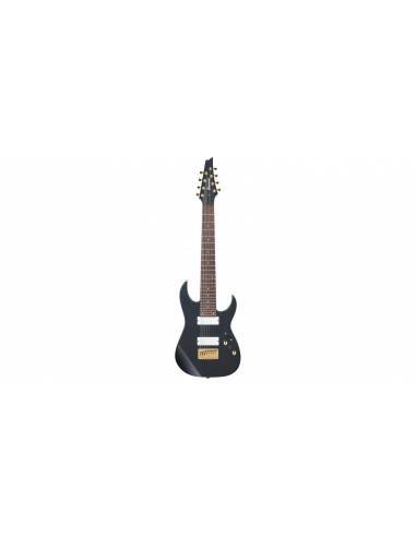 Guitarra Eléctrica Ibanez RG80FITP Iron Pewter frontal