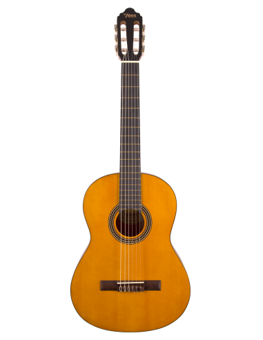 Guitarra Clásica Valencia VC204T Mate frontal