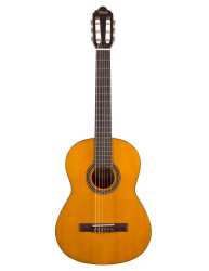 Guitarra Clásica Valencia VC204T Mate frontal
