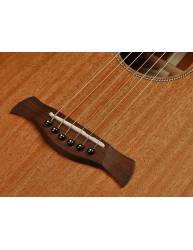 Guitarra Electroacústica Richwood P-50-E Parlor puente